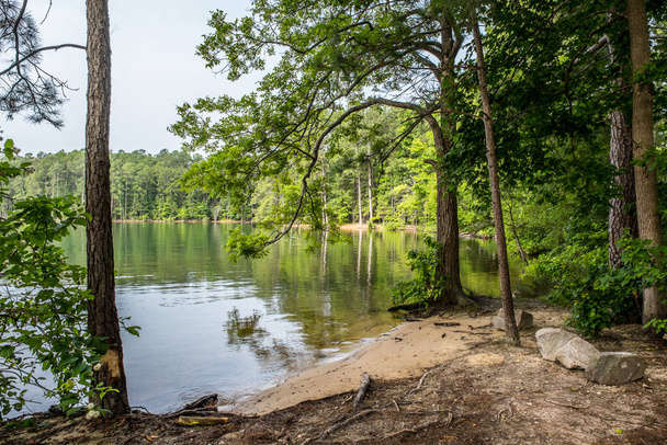 Um dia calmo e tranquilo no verão na entrada do lago com árvores circundantes e uma vista lateral do céu nublado
 - Foto, Imagem