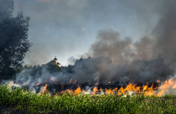 Frühlingsfeuer. Das Gras brennt auf der Wiese. Ökologische Katastrophe. Feuer und Rauch zerstören Leben. - Foto, Bild
