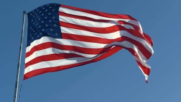 Americká vlajka vlnění ve Spojených státech amerických - Záběry, video