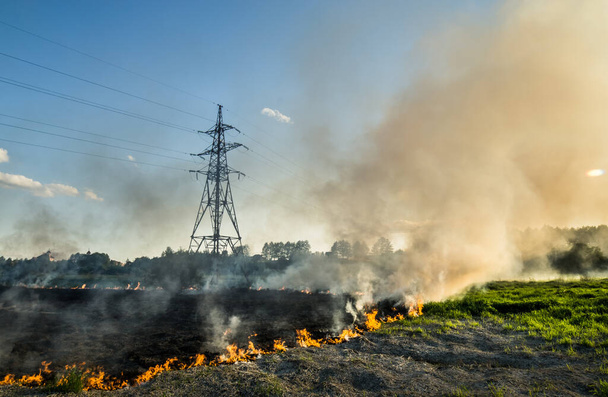 The grass burns in a meadow. Ecological catastrophy. Fire and smoke destroy all life. - Photo, Image