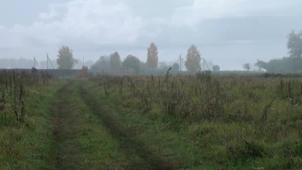 jesień ścieżka w lesie kraju łąka - Materiał filmowy, wideo