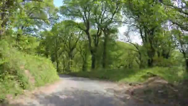 TIMELAPSE POVはExmoor国立公園のDunkery Beaconの丘を通って運転 - 映像、動画