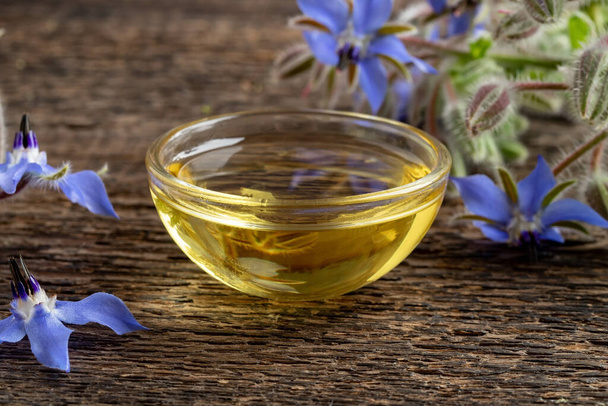 A bowl of borage oil with fresh blooming plant on a table - Photo, Image