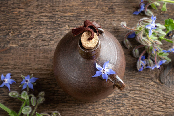 A bottle of oil with fresh blooming borage plant  - Photo, Image