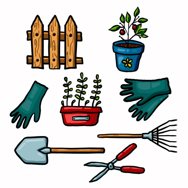 Color illustration. Garden set of plants and garden tools. - Fotoğraf, Görsel