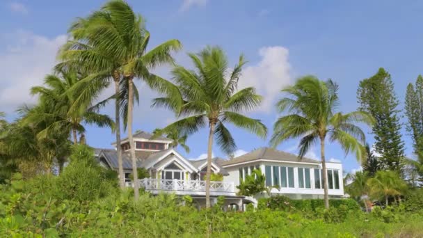 Casa suburbana com palmeiras no jardim da frente
 - Filmagem, Vídeo