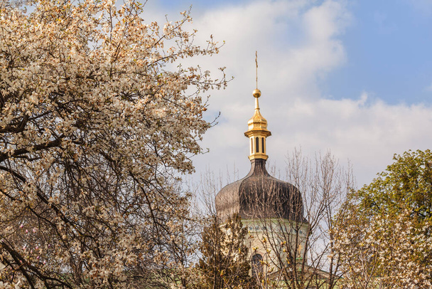 KYIV, UKRAINE - 22 APRIL 2019: Holy Trinity Ioninsky Monastery in  National Botanic Garden in Kyiv in early spring. Beautiful branching of trees and bushes. cloudy weather - Photo, Image