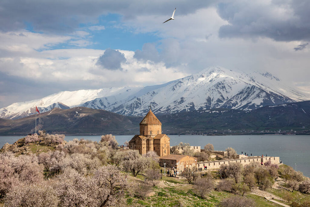 Superbe vue printanière de l'église arménienne de la Sainte Croix sur l'île d'Akdamar (Akdamar Adasi), lac Van / Turquie. Entouré d'arbres en fleurs, au milieu de l'île d'Akdamar. - Photo, image
