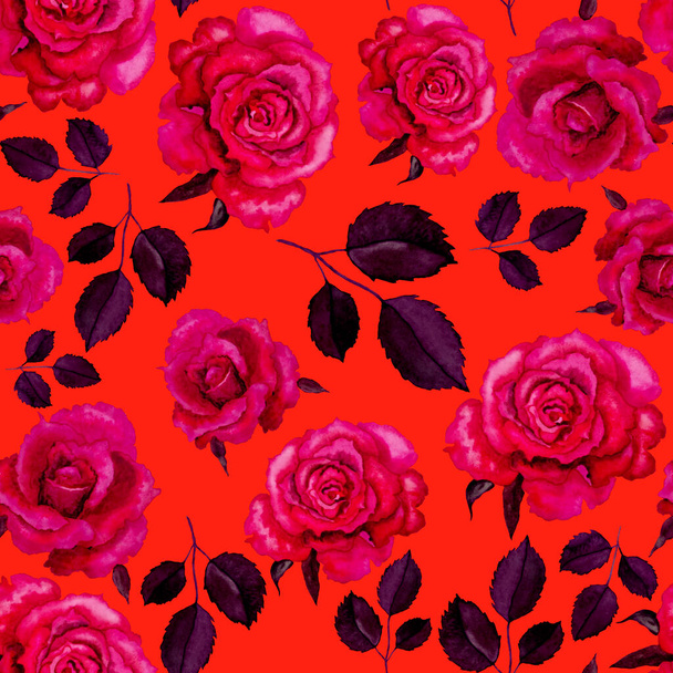 Modèle de rose aquarelle vintage, grand design pour tous les usages. Carte de vœux floral. Ressort aquarelle dessin à la main. - Photo, image