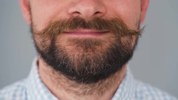 ねじれた口ひげを生やした髭の男の顔の一部。口髭を生やして - 映像、動画