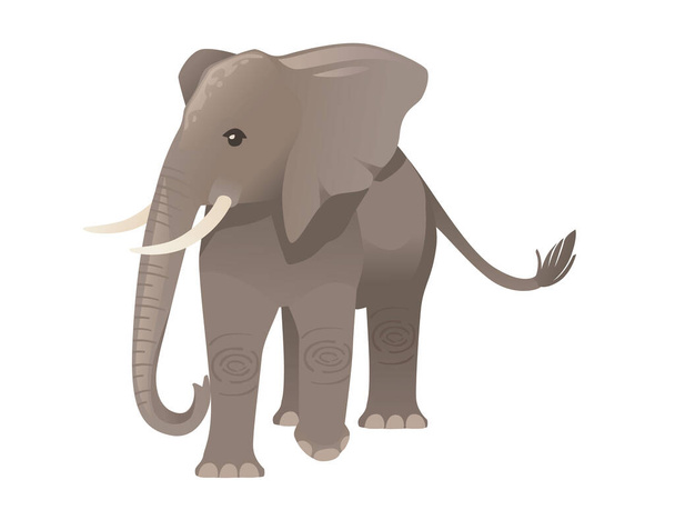 Çizgi film hayvan tasarımı beyaz arka planda izole edilmiş yassı vektör çizimi üzerinde sevimli yetişkin fil.. - Vektör, Görsel