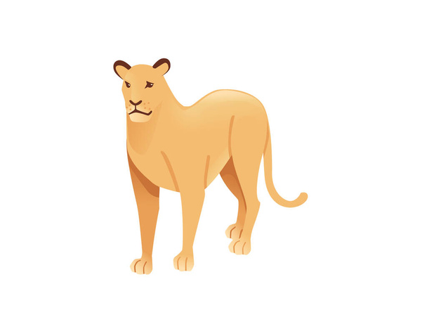 Aikuinen naarasleijona afrikkalainen villi saalistushinnoittelua kissa naaras leijona sarjakuva söpö eläinten suunnittelu tasainen vektori kuva eristetty valkoisella taustalla. - Vektori, kuva