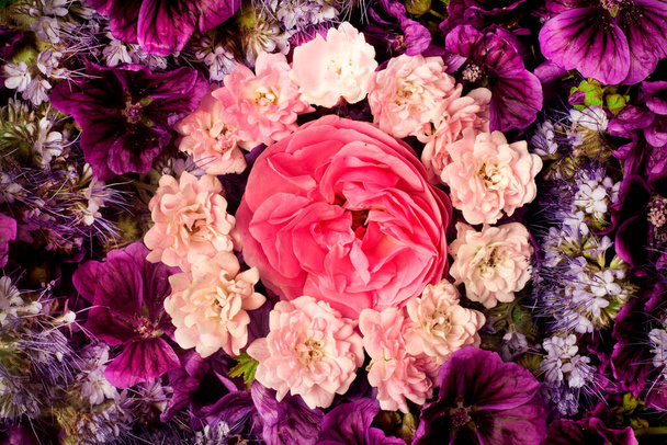 Νεκρή ζωή, προβηγκικό άθλιο στυλ, κύκλος από άνθη λουλουδιών, ροζ τριαντάφυλλο, μολόχα, επίπεδη lay, κορυφαία άποψη. - Φωτογραφία, εικόνα