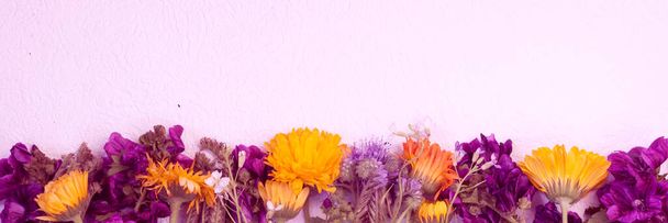 Мальва-арборея і календула з деякими польовими дикими рослинами як барвистий фон, розквіт в ряд, білий простір вище
. - Фото, зображення