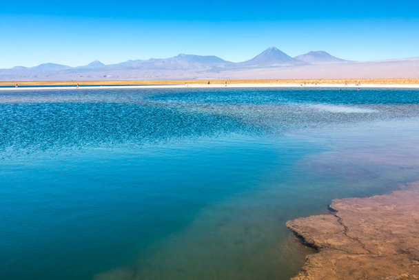 Lagune von Cejar und Vulkan Licancabur in der Atacama, Chile. Südamerika. - Foto, Bild