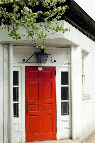 Яскравий вхід до типового будинку в районі Бруклін - Хайтс (Нью - Йорк, США). - Фото, зображення