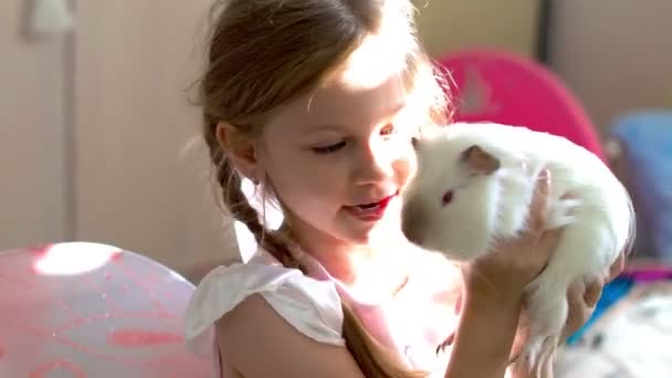 Child blue eyes blond girl holding her guinea pig pet animal. High quality 4k footage - Felvétel, videó