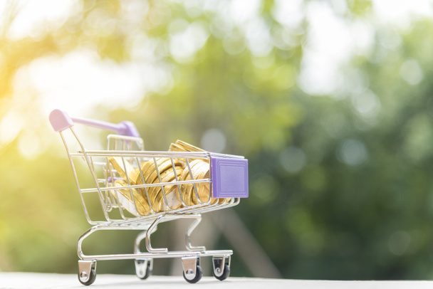 Shopping cart with golden coin. shopping online concept. - Photo, Image