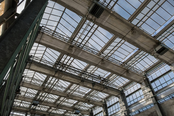 大学には大きなガラス屋根の大きな温室があります - 写真・画像