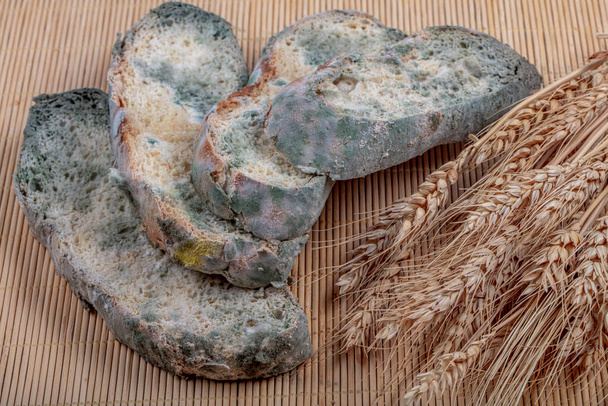 Μακροφωτογραφία πράσινου μούχλα σε μπαγιάτικο ψωμί. Επιφάνεια μουχλιασμένου ψωμιού. Χαλασμένο ψωμί με μούχλα. Μολυσμένος μύκητας σε σάπιο ψωμί. Άνω όψη - Φωτογραφία, εικόνα