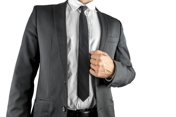 Torso of a businessman in a suit - Foto, imagen