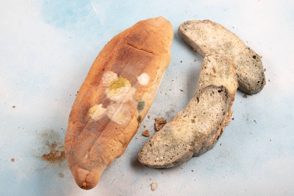 Makrovalokuvausta vihreästä homeesta vanhassa leivässä. Homeista leipää. Hemmoteltu leipä homeella. homeinen sieni pilaantuneessa leivässä. Yläkuva - Valokuva, kuva