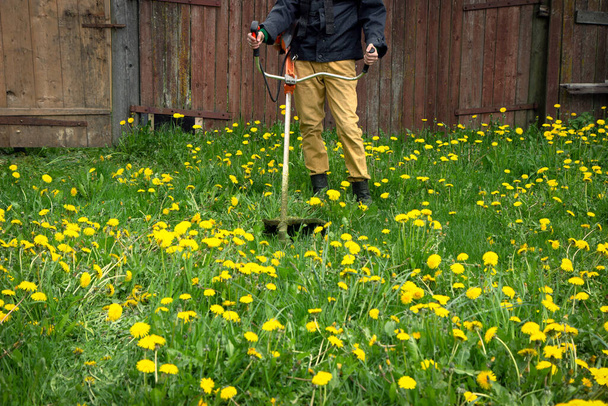 The gardener man mows the grass with yellow dandelions with a hand lawn mower. close up trimmer, selective focus - Foto, immagini