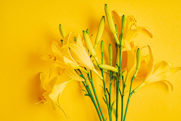 day-lily on the yellow background - Foto, imagen