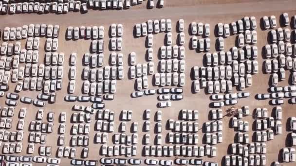 Nieuwe auto 's bedekt met beschermende witte lakens geparkeerd op een perron. - Video