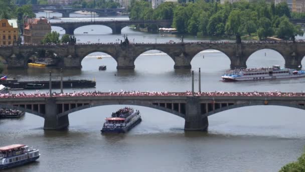 Pink ribbon dav kráčející po mostě Manesuv Most v Praze Česká republika - Záběry, video