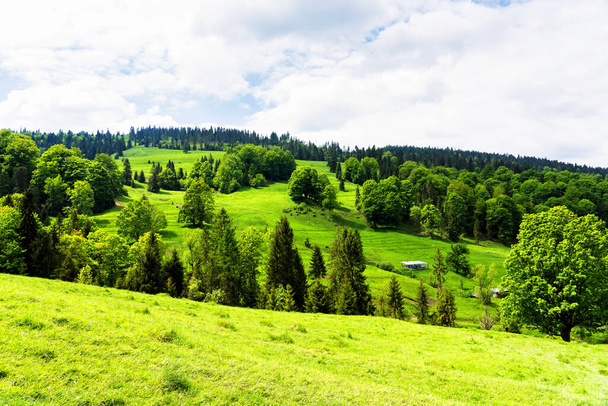 Frühlingstag im Nationalpark Pieniny, Polen. Landschaft der polnischen Berge an einem warmen und sonnigen Tag - Foto, Bild