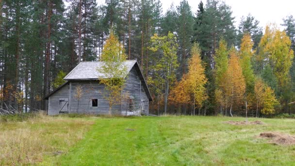 Drewniana kabina jesienią w lesie Parku Narodowego Patvinsuo Finlandia - Materiał filmowy, wideo