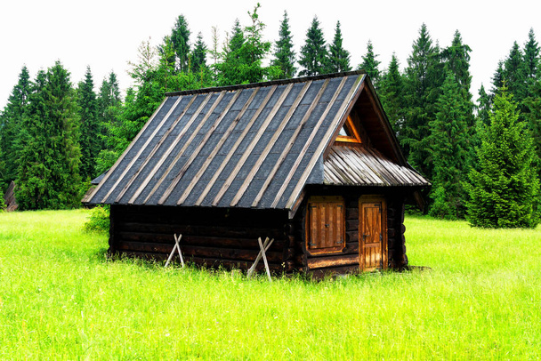 Cabaña de pastor en el Parque Nacional Polaco de las Montañas Tatra. Las chozas se utilizan para mantener ovejas y producir queso tradicional de las tierras altas: oscypki u oscypek. Jurídico, Polonia
 - Foto, imagen
