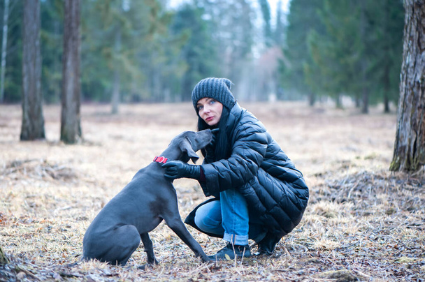 Portrét krásného psa modré Weimaraner plemeno s dívkou majitelkou v přírodě, v celé délce, dívka se dívá do kamery - Fotografie, Obrázek