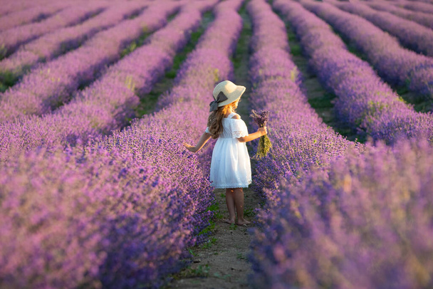Beautiful girl in a field with lavender. - Fotoğraf, Görsel