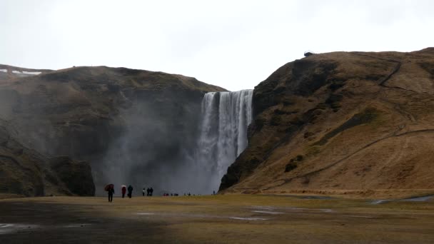 Wasserfall im Winter auf Island - Filmmaterial, Video