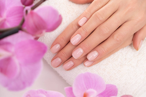 Female hands in spa. Close up to pretty done manicure. Orchid mood. - Foto, afbeelding