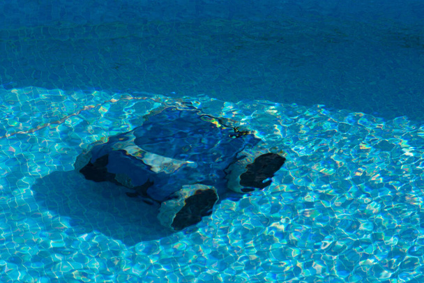 Automatikus robot tisztítja a medence víz alatti - Fotó, kép