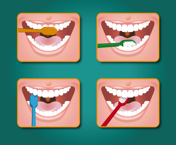 toothbrush - Vector, Image