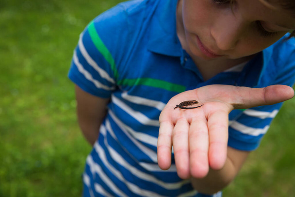 menino segurando e explorando lagarto na natureza
 - Foto, Imagem