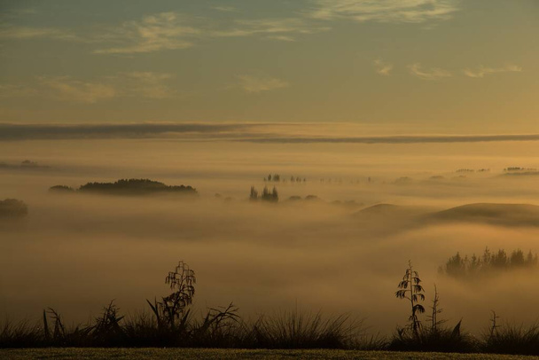 A breathtaking view of the trees and foggy hills captured at sunset in Hawke's Bay, New Zealand - Foto, Bild