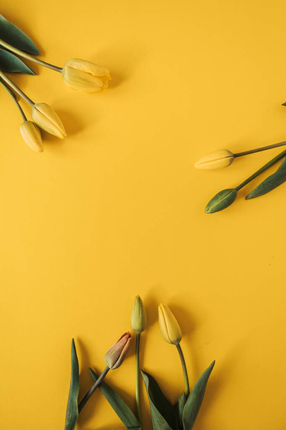 Couronne à cadre rond faite de fleurs de tulipes jaunes sur fond jaune. Pose plate, vue du dessus modèle de maquette d'espace de copie florale vide - Photo, image