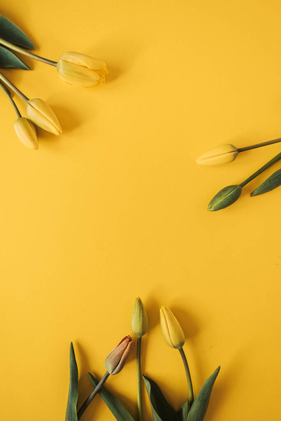 Couronne de cadre ronde avec espace de copie vierge faite de fleurs de tulipes jaunes sur fond jaune. Flat lay, vue sur le dessus floral concept de vacances festives - Photo, image