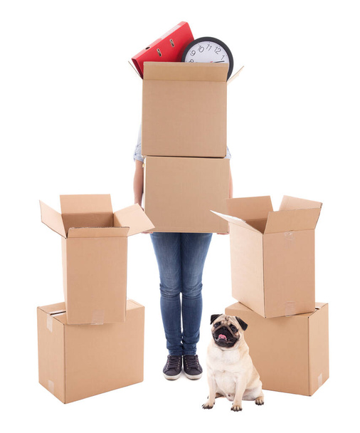 moving day concept - woman holding brown cardboard boxes and dog isolated on white background - Photo, Image