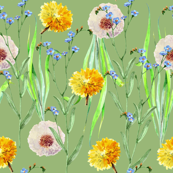 Aquarelle dandelios fleurs et feuilles sur fond vert lime. Motif floral sans couture. - Photo, image
