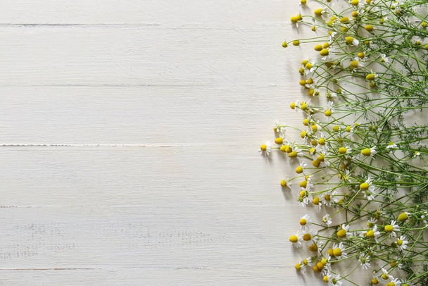 Tuoreet kamomilla kukkia valkoinen puinen tausta - Valokuva, kuva