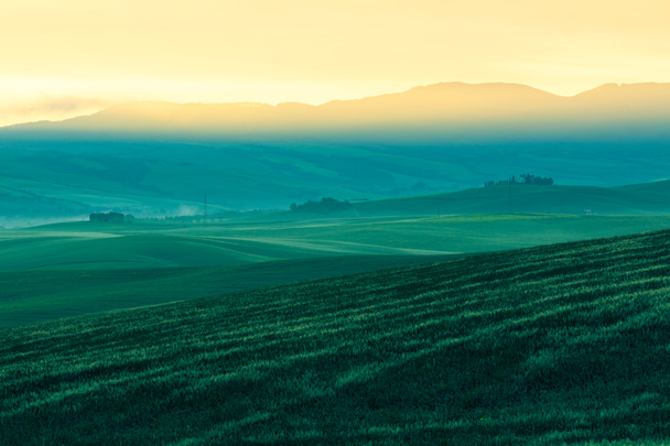 Vista de niebla matutina en tierras de cultivo en Toscana, Italia
 - Foto, Imagen