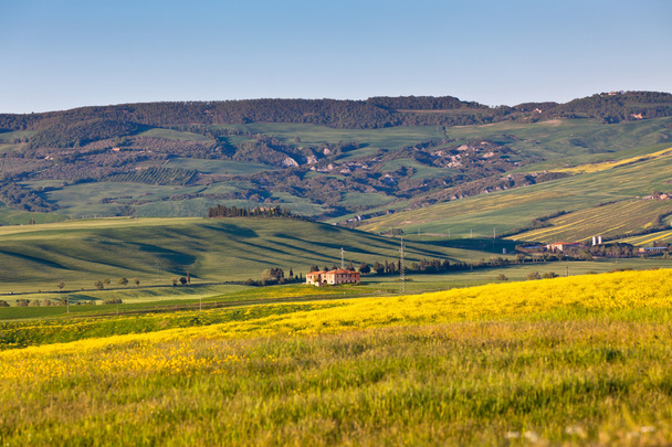 Ao ar livre Toscana Val d Orcia colinas verdes e amarelas
 - Foto, Imagem