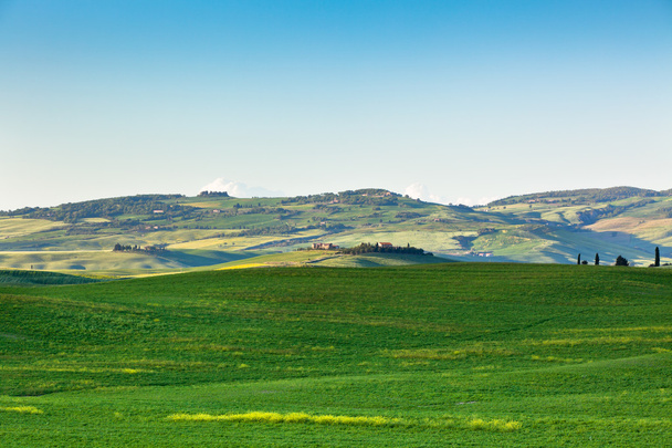 Toscanan kukkulat ulkona maisema
 - Valokuva, kuva