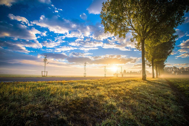 A beautiful shot of a  sunrise in Dutch polder landscape with road and tree - Фото, зображення